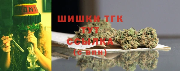 СК Горняк