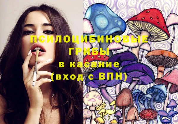 дурь Горно-Алтайск