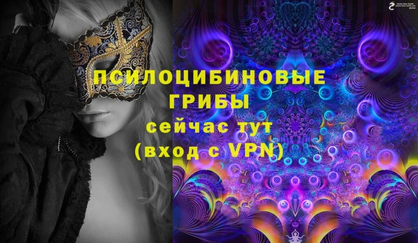 дживик Заводоуковск